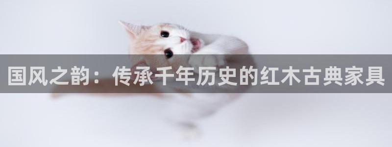 龙八国际pt