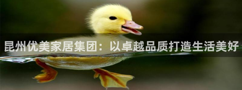 龙八国际官方网站