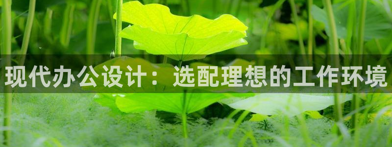 龙八国际app电话号码