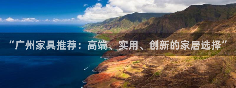 龙八国际long