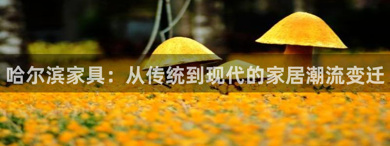 龙八国际视频入口