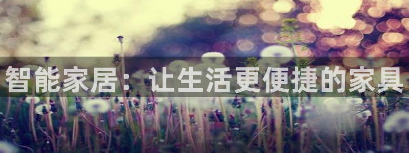 龙八国际可以京东充值吗