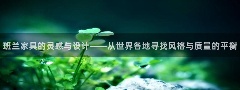 项目名称龙八国际