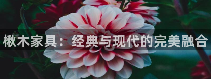 龙八国际国际娱乐官网