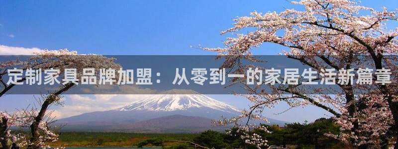 龙八国际是什么