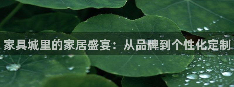 龙八国际网页long8.hn