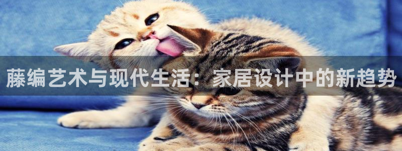 龙八国际安全