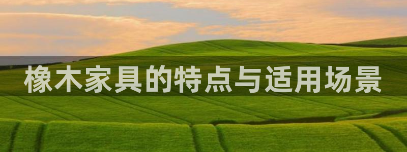 龙八国际官网进入