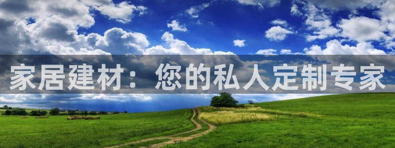 菲律宾龙八国际杀猪