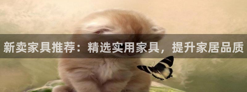 龙八国际手机版下载