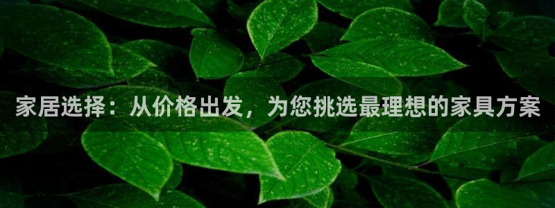 菲律宾龙八国际杀猪