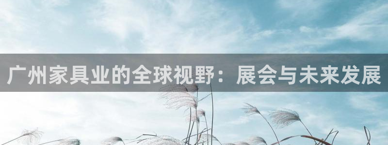 龙八国际娱乐pt
