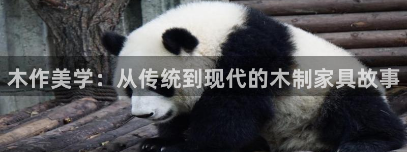 龙八国际棋牌