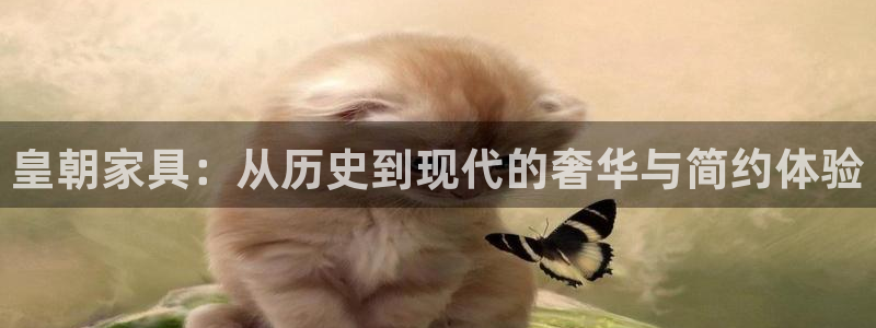 龙八国际客户端pt