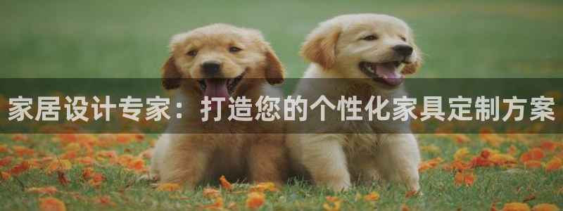 龙八国际娱乐网