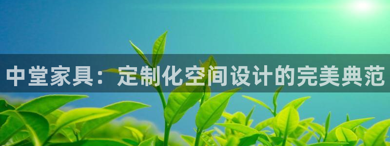 国际龙八国集团
