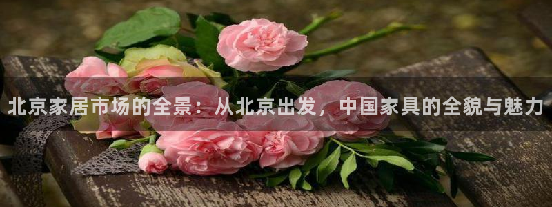 龙八国际苹果下载