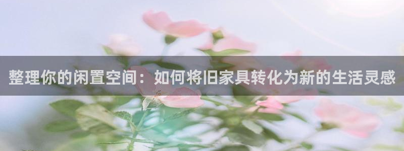 龙八国际安全