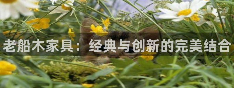 龙八国际官方下载