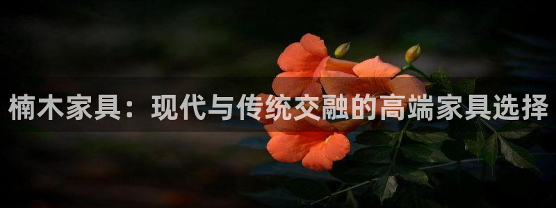 手机版龙八国际官网