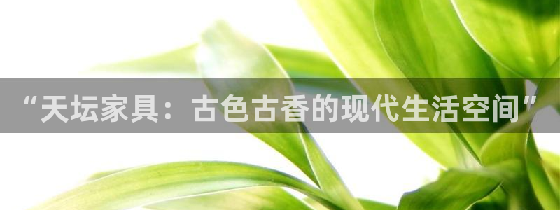 龙八国际服官网下载