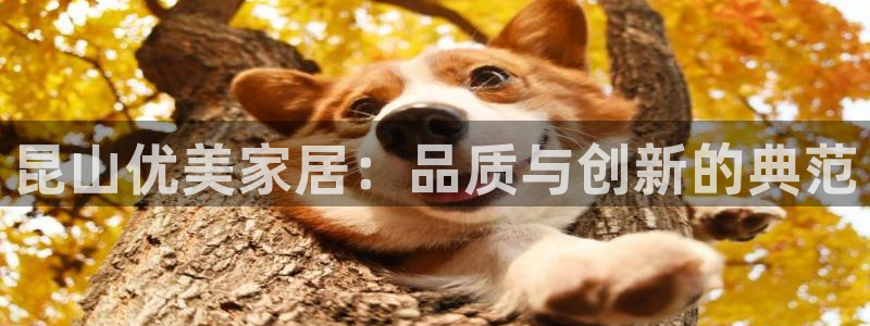 龙八国际下载app苹果