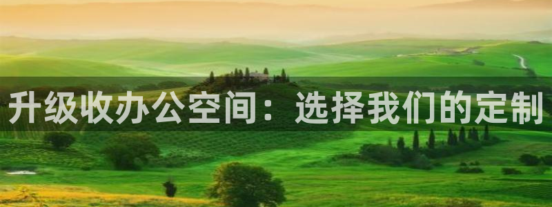 龙八国际手机下载