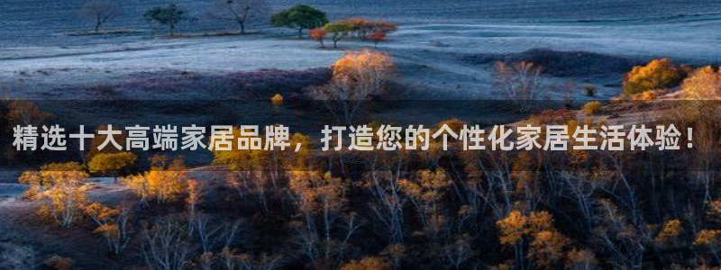 龙八国际游乐城