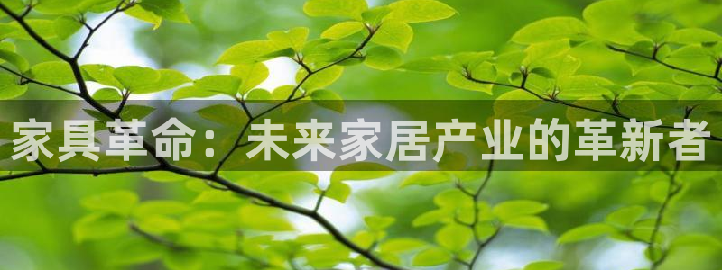 龙八国际棋牌官方网站