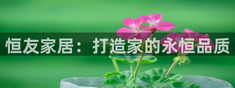 龙八国际app客户端下载手机端：恒友家居：打造家的永恒品质