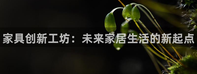 龙八国际游戏登录：家具创新工坊：未来家居生活的新起点