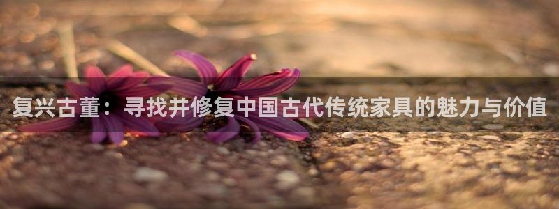 龙八国际首页