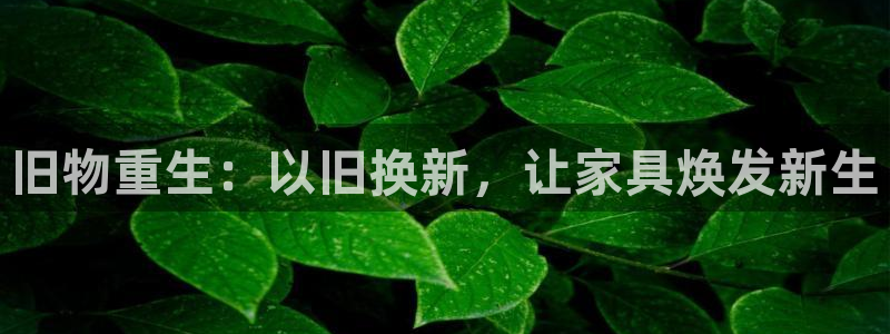 龙八国际娱乐下载