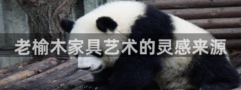 菲律宾的龙八国际输钱