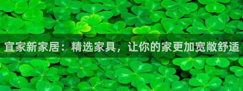 龙八国际苹果版下载