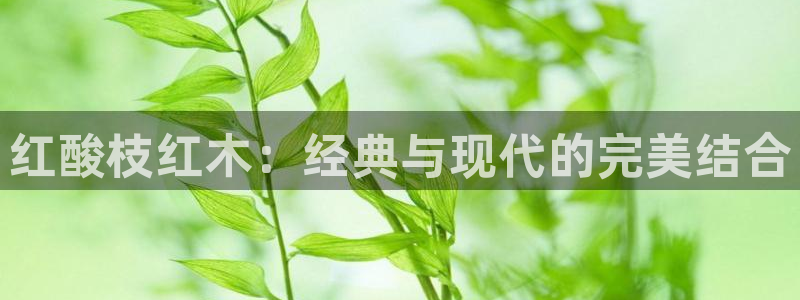 龙八国际pT娱乐官网：红酸枝红木：经典与现代的完美结合