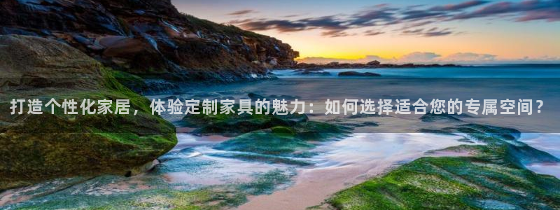 龙八国际2023