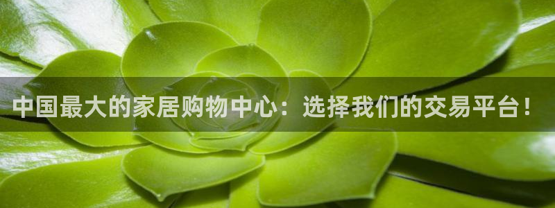 龙八国际娱乐游戏