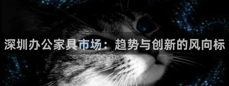 龙八国际网页