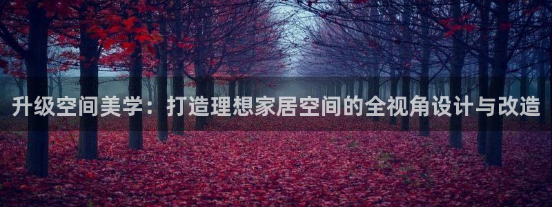 龙八国际app联系方式