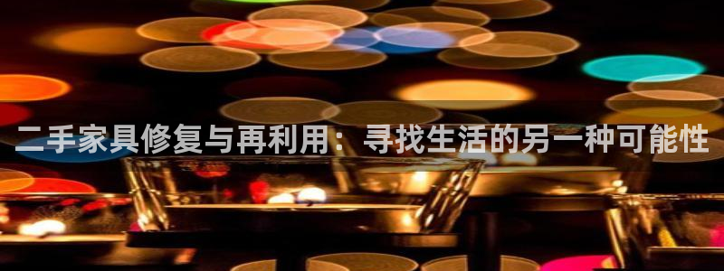 龙八国际是干什么的