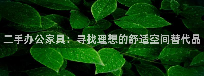 龙八国际服官方