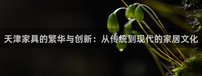 龙八国际唯一官网