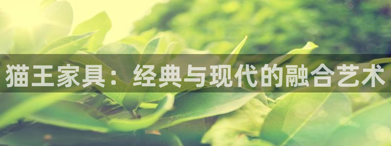 龙八国际技巧