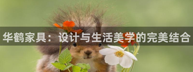 龙八国际手机版入口官网