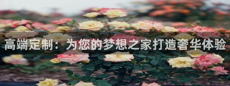 龙八国际游戏娱乐