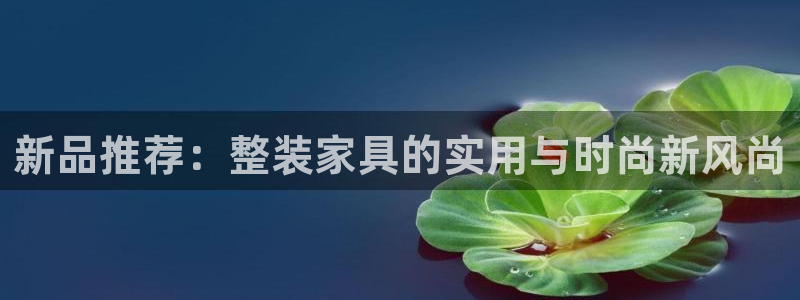 龙八国际下载链接手机端
