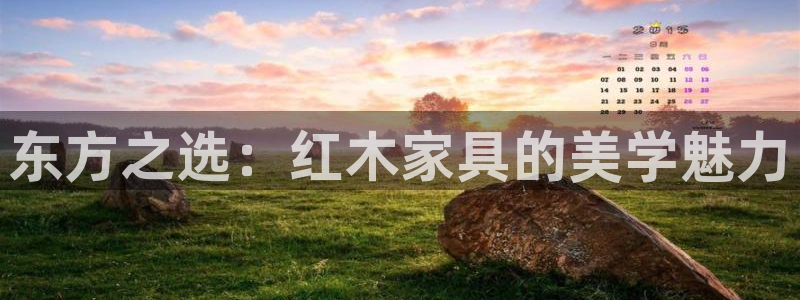 龙八国际管网