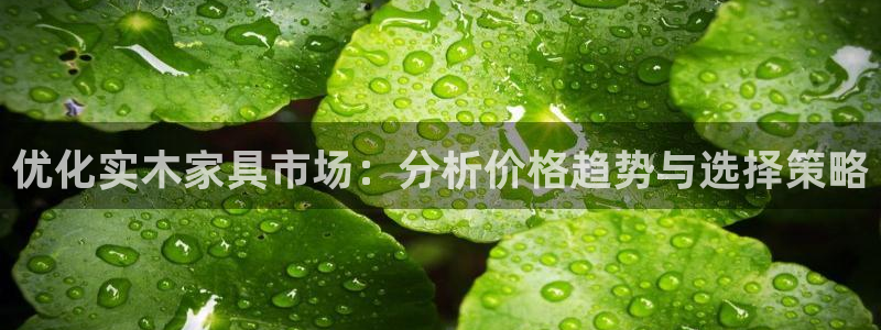 龙八国际官网手机端