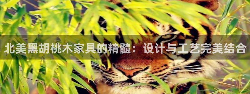 龙八国际网站多少
